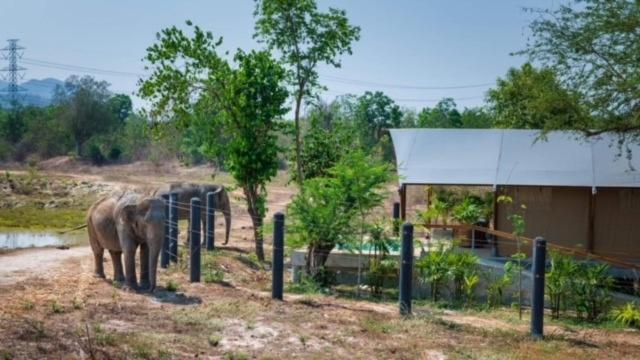 Elephant View Camp Ban Huai Thawai Zewnętrze zdjęcie